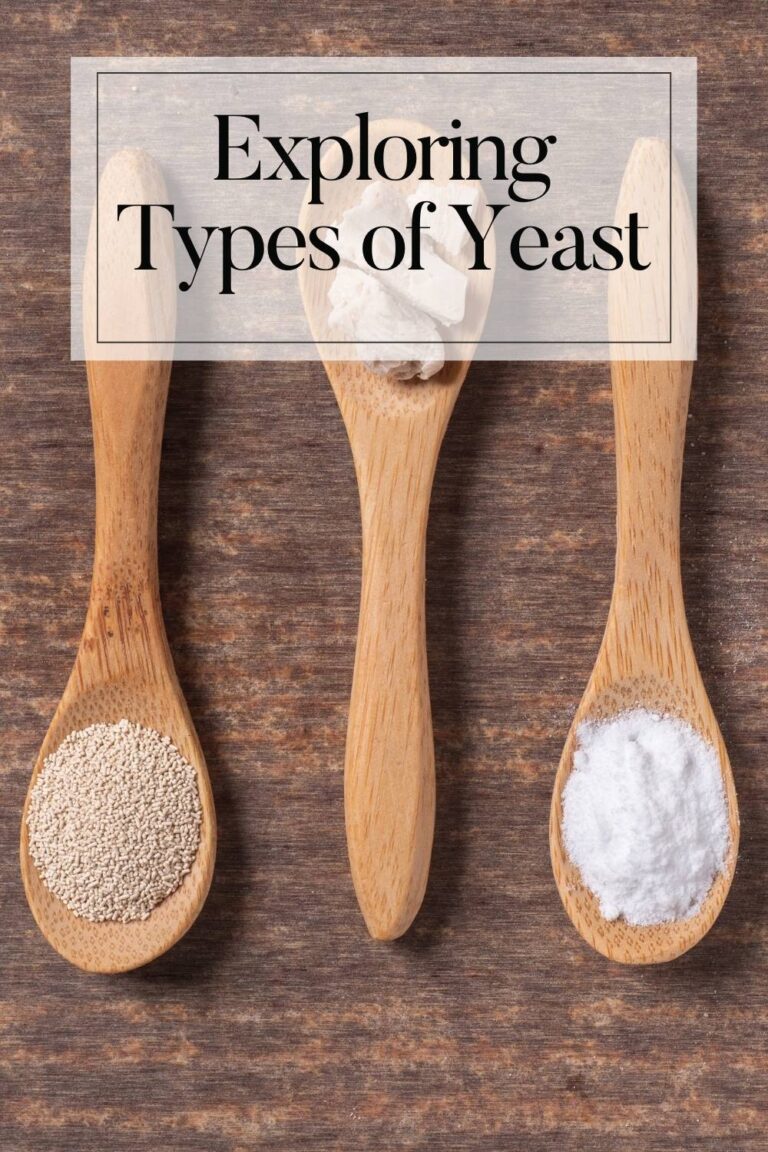Types of yeast - 3 spoons with yeast in them on a wooden counter