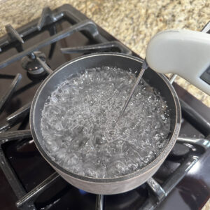 Sticking a food thermometer into boiling water